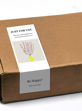 gytz6252跨境东南亚越南通用超大不干胶贴纸定制封口贴空白可手写