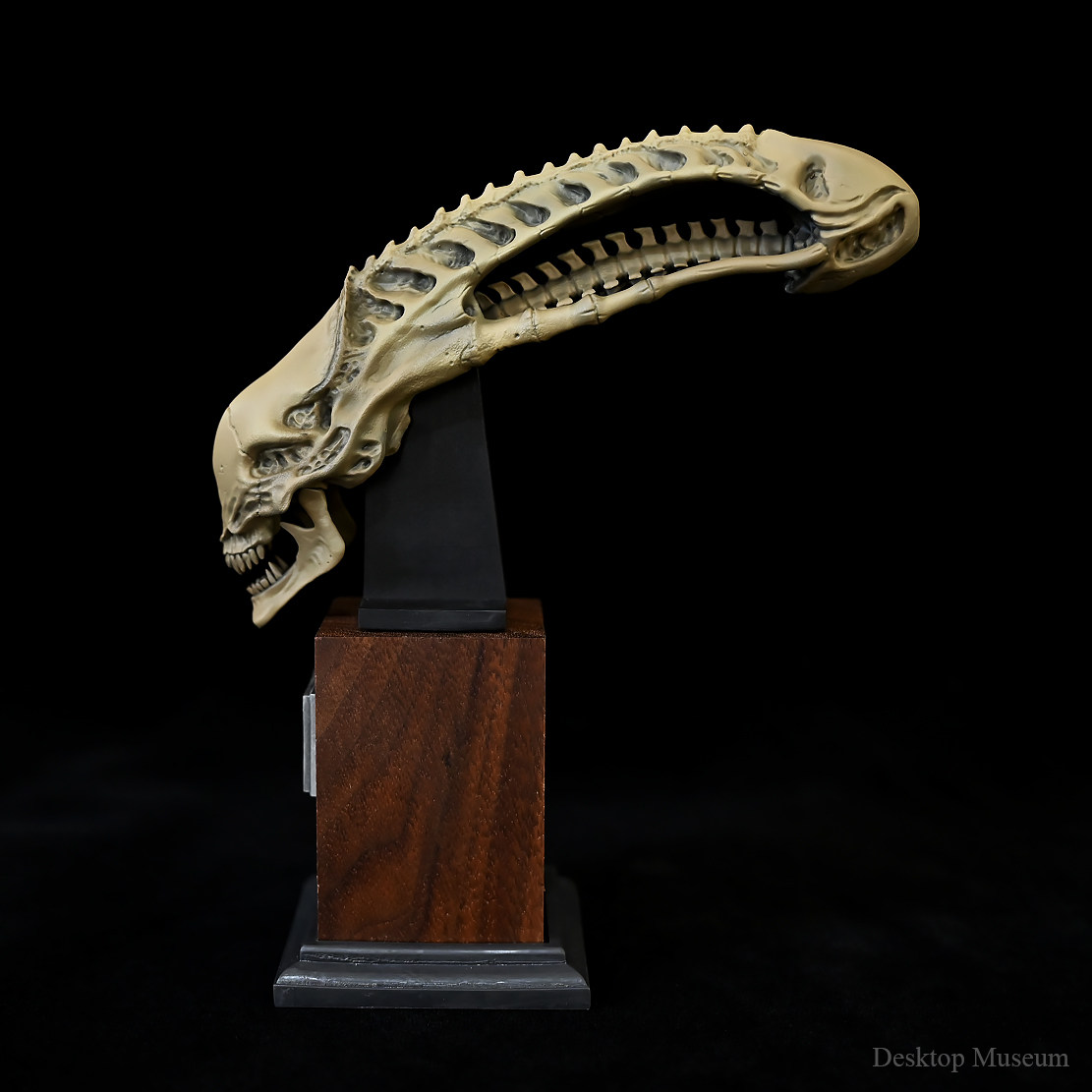 龙飞兔舞 155MM 桌面装饰品树脂摆件 异形头古  LTCP-411/3D,家居饰品,装饰摆件,淘宝优惠券,粉丝福利购,淘宝优惠卷