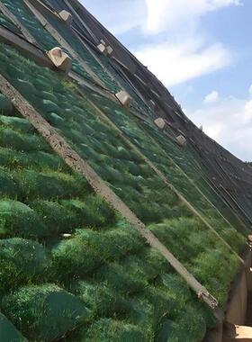 护坡绿色生态袋边坡防护绿化河道防汛环保土工山坡挡土草籽植生袋