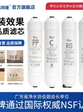 乐博维滤芯适用海尔施特劳斯净水器滤芯HSNF-300P1/P8(5H)M/HRO50