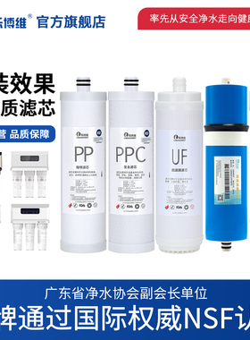 乐博维滤芯适用安吉尔V6净水器滤芯J2605-ROB60/A8A6N7陶氏RO膜