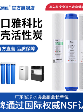 20寸PP棉净水器滤芯椰壳UDF颗粒炭CTO活性炭商用饮水机前置通用