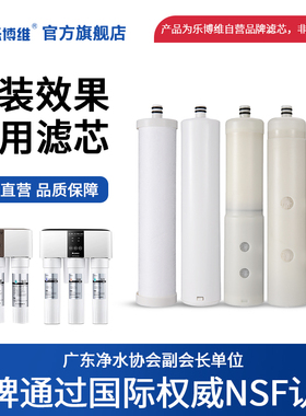 乐博维适用格力净水器滤芯机PC16-5081/5088/5X608A/5051/PC85052