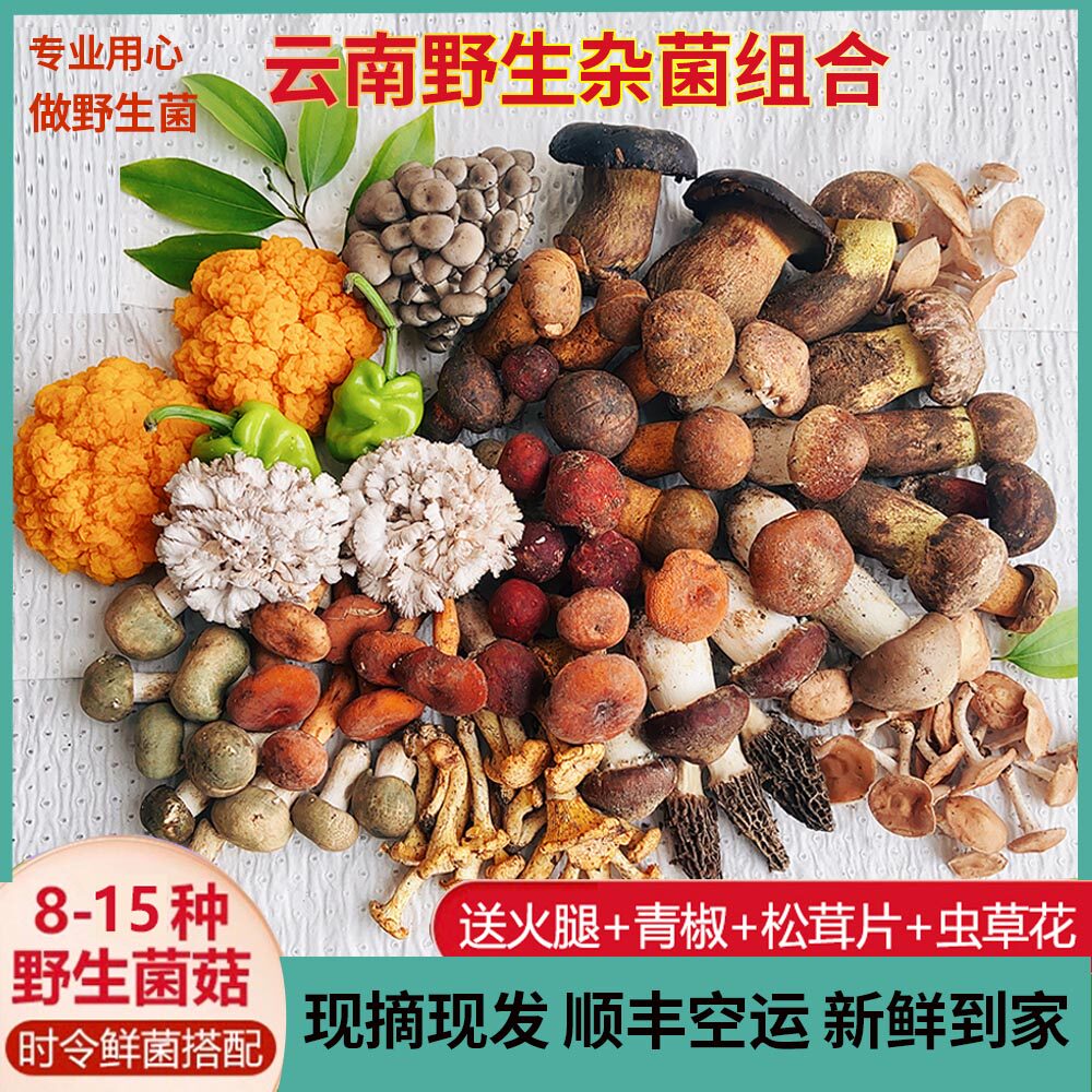 新鲜云南野生菌组合 2斤松茸羊肚菌鸡枞菌煲汤牛肝菌野生菌新鲜