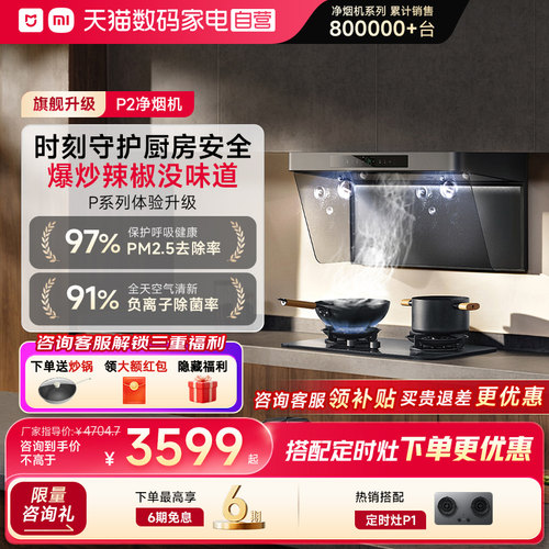 <咨询有优惠>P2净烟机