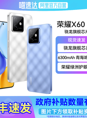 【国补立省15%|阿里官方自营】HONOR/荣耀X60 GT 骁龙旗舰芯片 1.5K绿洲护眼屏 6300mAh青海湖电池手机-178