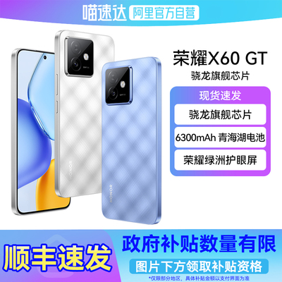 【国补立省15%|阿里官方自营】HONOR/荣耀X60 GT 骁龙旗舰芯片 1.5K绿洲护眼屏 6300mAh青海湖电池手机-178