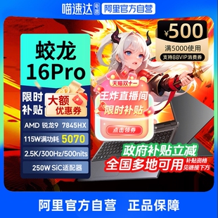 翼龙可选2025锐龙R9处理器RTX5070 旷世X 机械革命蛟龙16Pro 5060电竞本游戏笔记本电脑官方旗舰 政府补贴