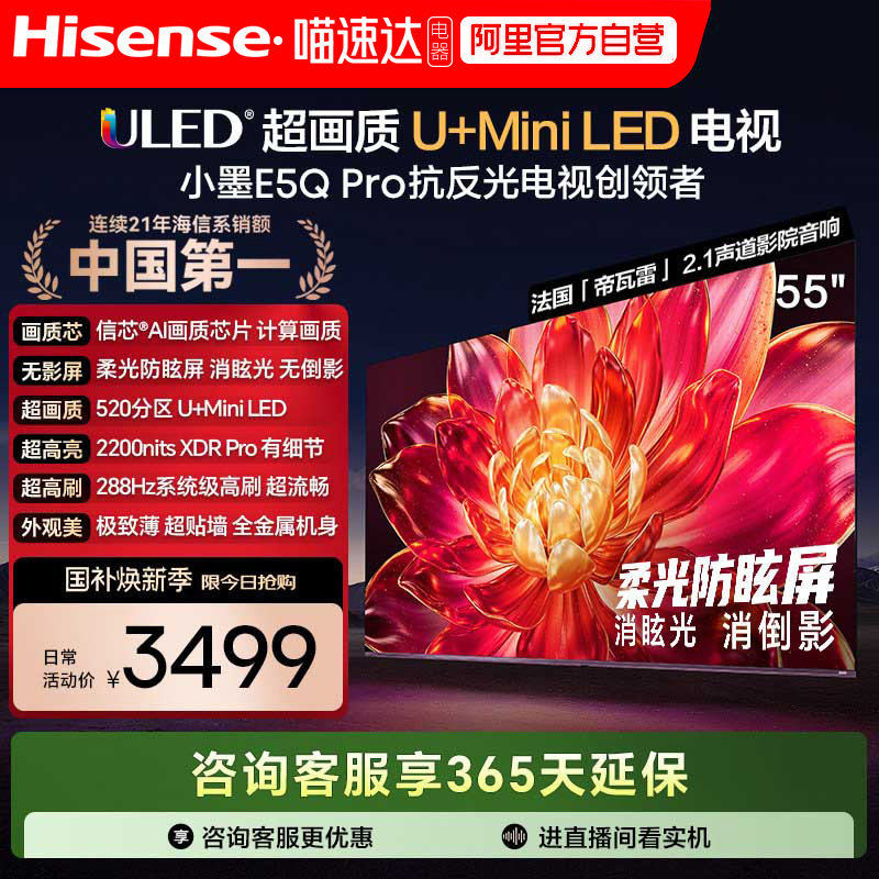 ���� E5Q Pro 55Ӣ�� ���� 55E5Q Pro 2974.15Ԫ(������)