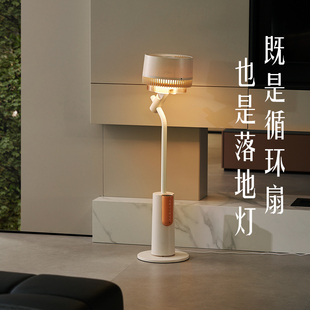 大宇等離子空氣循環(huán)扇氛圍燈電風(fēng)扇落地扇F47