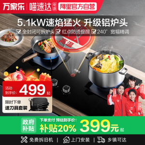 [政府补贴]万家乐AY5C/AC5燃气灶家用双灶具天然气液化煤气炉灶39