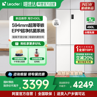 海尔Leader490十字对开门冰箱