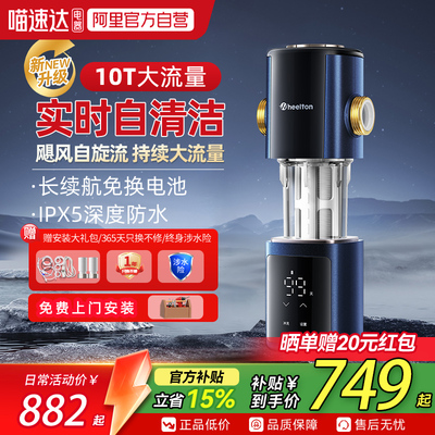 惠尔顿P0063前置过滤器家用清洗反冲洗防爆10T/h智能全屋滤水器