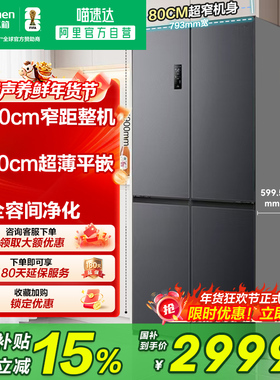 容声459L十字双开门超薄嵌入大容量一级变频风冷家用无霜冰箱281
