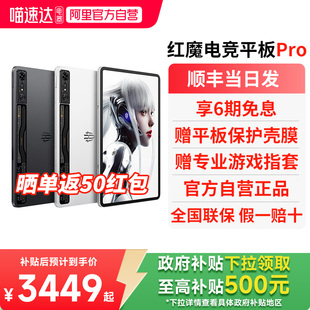 努比亞 144hz屏電競平板 自營正品 nubia 10.9寸驍龍8Gen3120w快充 政府補貼15% 紅魔電競平板Pro