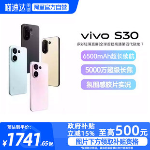 政府补贴15% 手机多彩轻薄直屏官方旗舰店官网拍照手机新款 阿里官方自营 S30新品 vivo