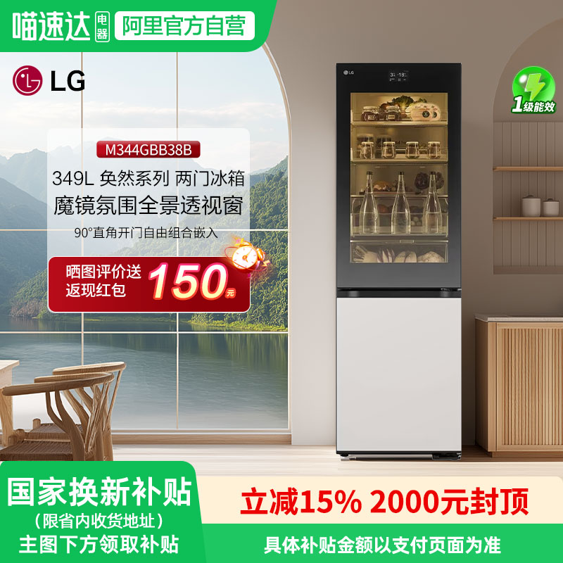 LG349升幻色魔镜电冰箱