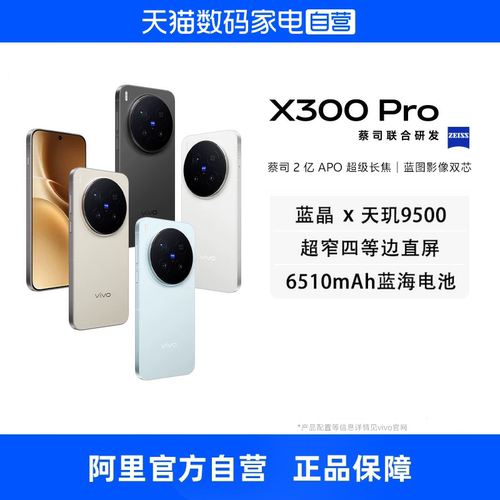 【政府补贴15% 自营】vivo X300 Pro全网通5G旗舰手机天玑9500旗舰芯片蔡司2亿APO超级长焦蓝图影像双芯手机