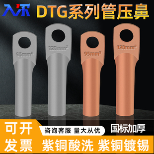 DTG管压铜鼻子紫铜国标镀锡10/16/25/35/50/70/95/120平方线鼻子