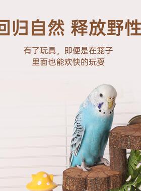 C183001鹦爬梯具秋千虎站玩杆玄凤皮牡丹鸟笼用品鹉磨嘴爪原生态
