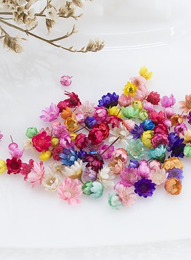 100/200pcs Dried Flowers Head Dry Daisy Plants for Epoxy Res