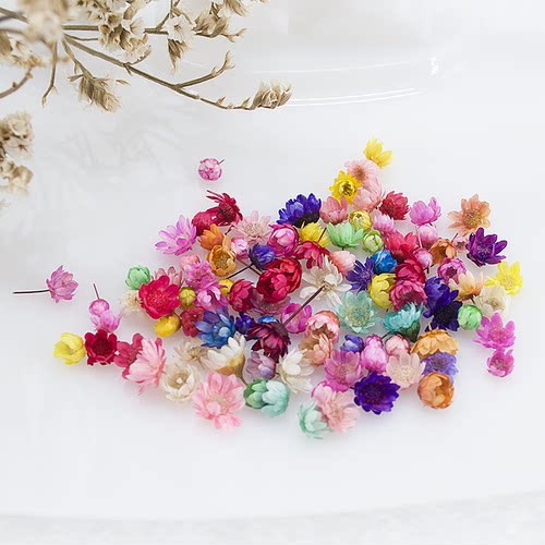 100/200pcs Dried Flowers Head Dry Daisy Plants for Epoxy Res