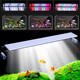 Growing Small Lights Plants Fish Tank Clip Aqu