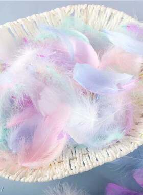 Natural Feathers 4-8cm Small Floating Goose Feather Colourfu