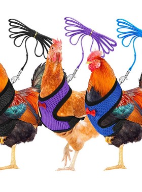 L Size Fashion Chicken Vest Hen Belt Pet Harness Matching Co