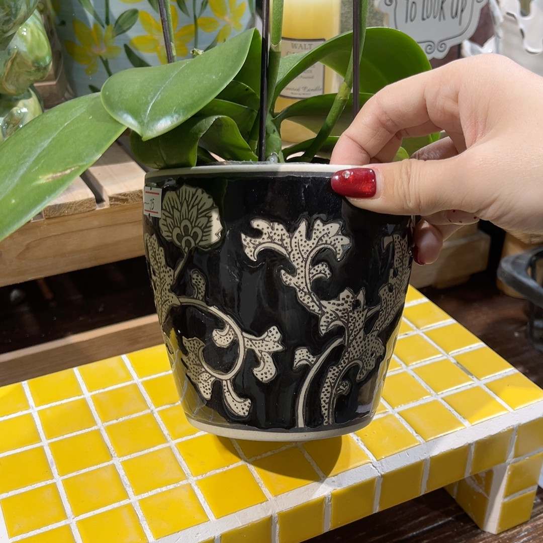 高11口10,鲜花速递/花卉仿真/绿植园艺,花盆,淘宝优惠券,粉丝福利购,淘宝优惠卷