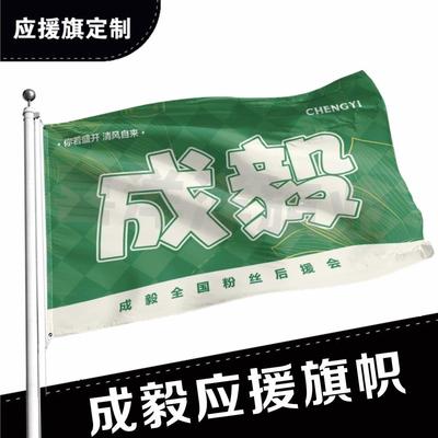 成毅应援大旗明星帜演唱会