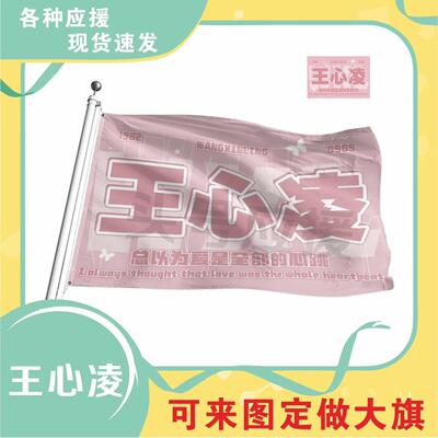 王心凌应援大旗明星帜演唱