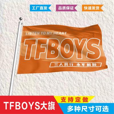 王源大旗俊凯TFBOYS应援粉