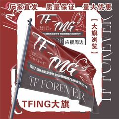 TFing大旗明星演唱会TF家族TFing应援旗户外打卡音乐节应援旗定制