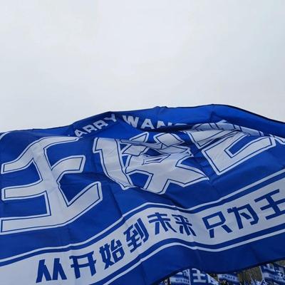 王俊凯应援大旗TFBOYS手摇