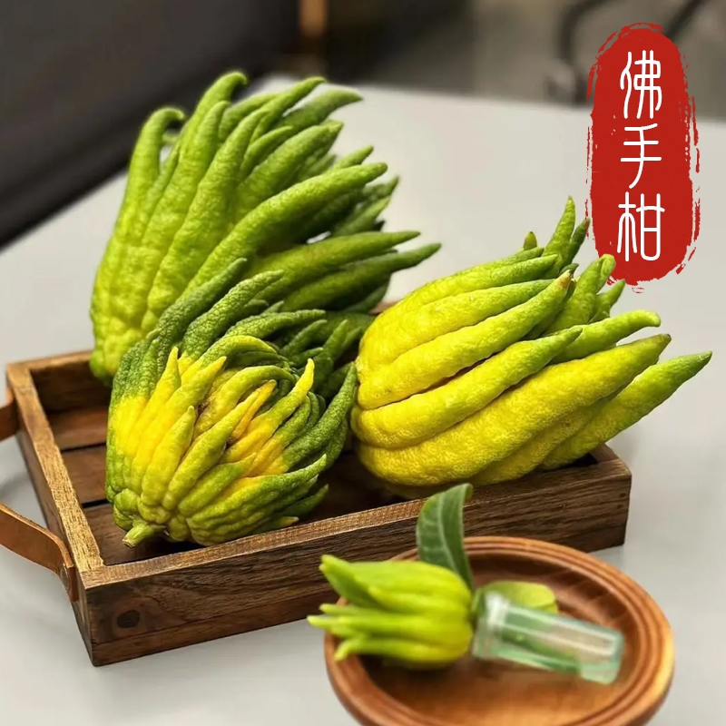 新鲜佛手柑鲜花鲜果水养绿植闻香观赏天然香摆件室内云南直发