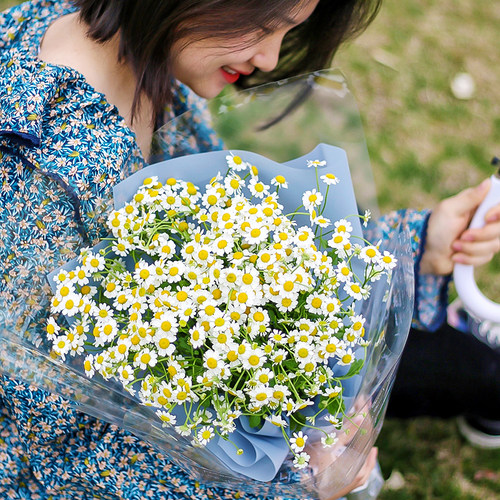 小清新鲜花洋甘菊坏了包赔