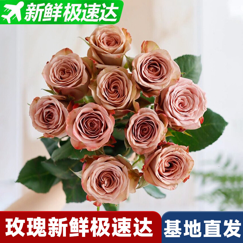 玫瑰鲜花花束云南昆明基地直发速递同城卡布奇诺
