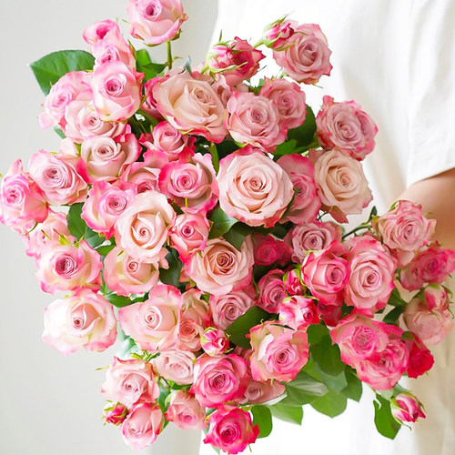 多头泡泡玫瑰基地直发