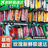 云南昆明鲜花基地直发玫瑰百合花束家庭鲜切花向日葵花材直批水养