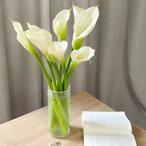 国产马蹄莲云南基地直发室内水养新插花手棒花节日鲜花礼物