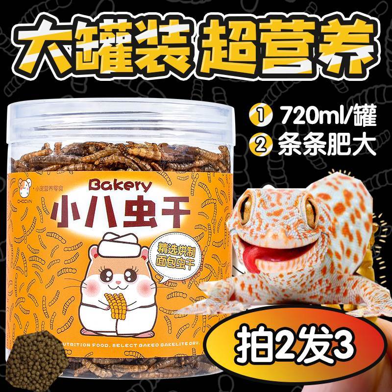 壁虎宠物食物专用粮食爬墙虎饲料面包虫小壁虎黄粉食物壁虎专用