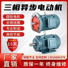 三相异步电动机Y100L2-4 3KWYE3100L-6 1.5KW2.2/1.1全铜国标380V