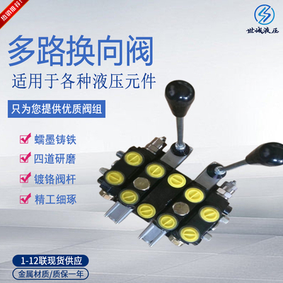 钻机液压行走多路换向阀DCV100液压分配器手动二连高压淮安力信