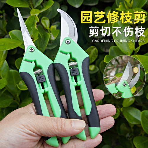 园艺修枝剪省力稀果剪刀