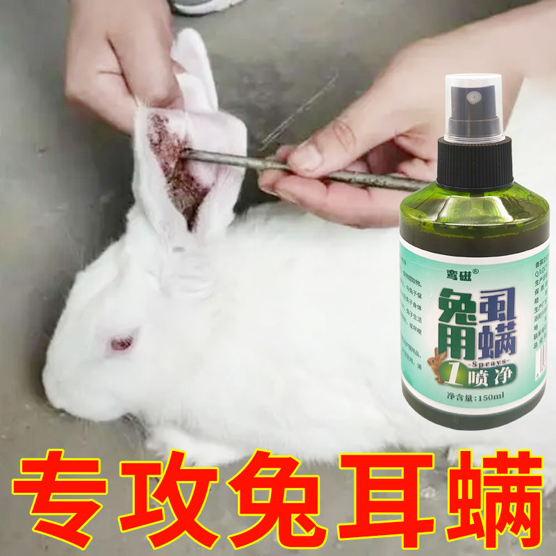 兔子耳螨药烂耳朵结痂真
