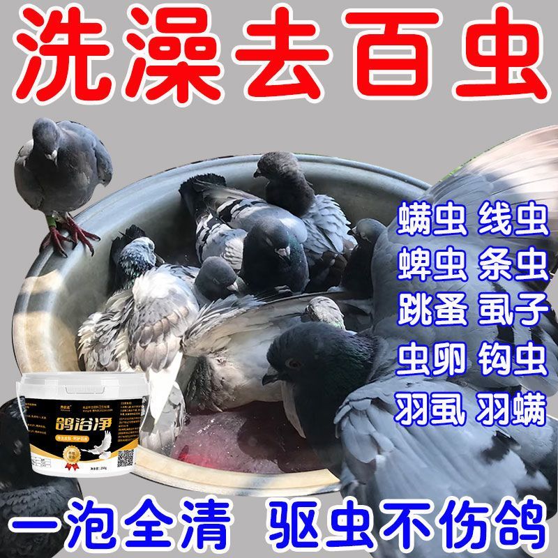 鸽浴盐浴粉鸽子洗澡专用