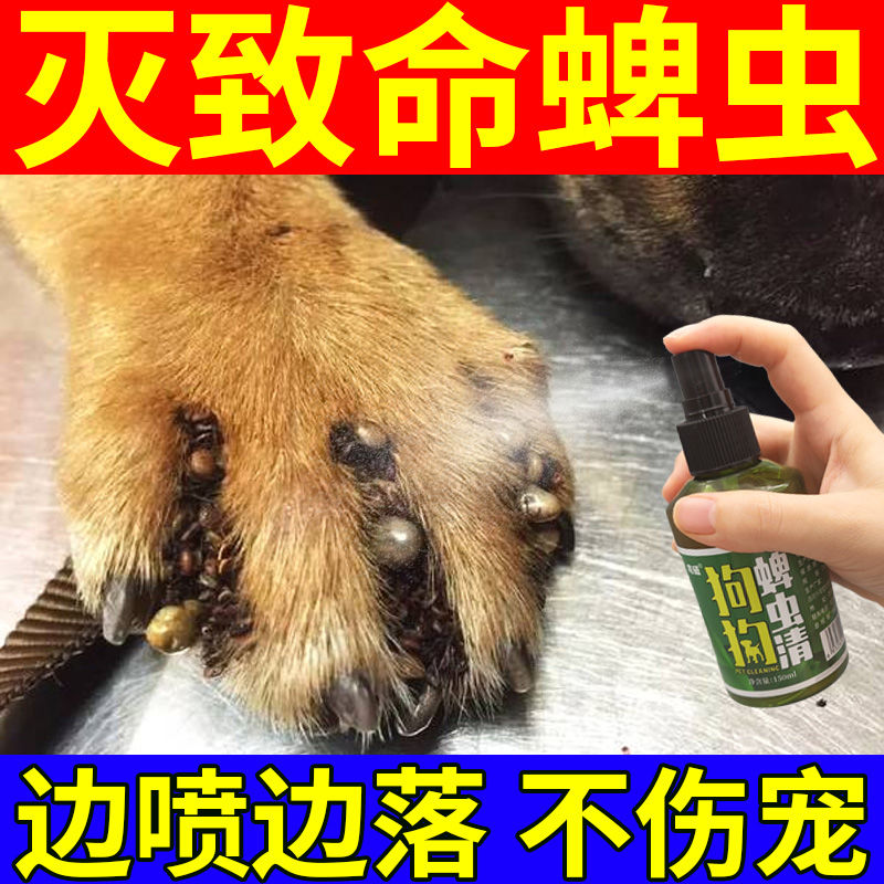 蜱虫专用药狗狗宠物外用