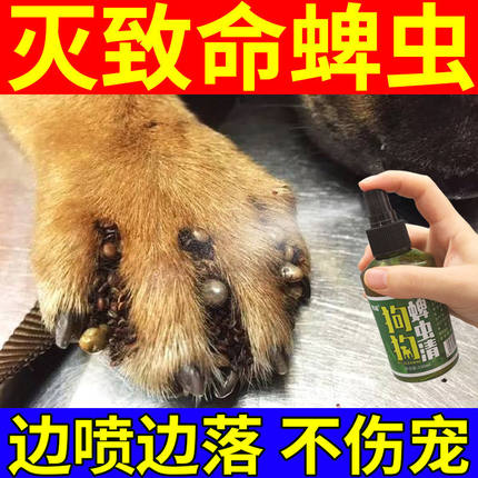 蜱虫专用药狗狗宠物外用杀虫剂狗体外驱虫虱子跳蚤身上长虫杀虫剂