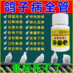 鸽药鸽子药大全预防鸽子拉稀绿便新城疫鸽瘟甩头歪脖没精神抗病毒